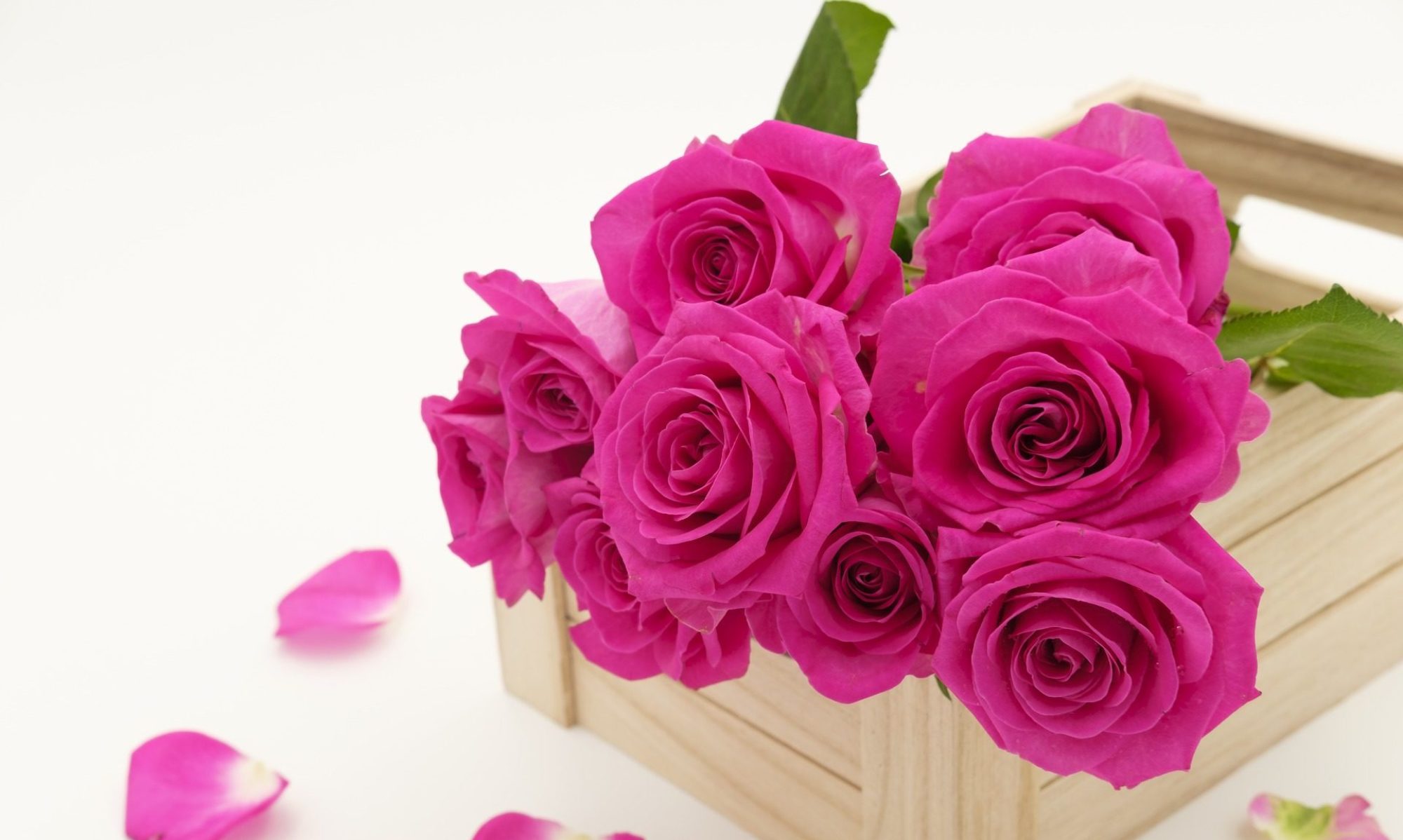 Co oznaczają kolory róż - wpis na blogu o kwiatach