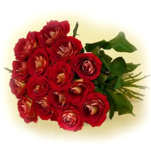 Bukiet 15 czerwonych róż - Kwiaciarnia KWIATOSTACJA Kraków
