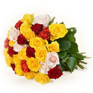 Bukiet 33 kolorowych róż w radosnych kolorach - Kwiaciarnia KWIATOSTACJA Kraków