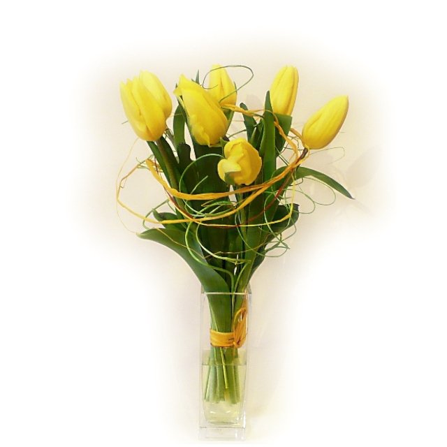 Bukiet żółtych tulipanów - Kwiaciarnia KWIATOSTACJA Kraków