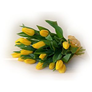 Duży bukiet żółtych tulipanów - Kwiaciarnia KWIATOSTACJA Kraków