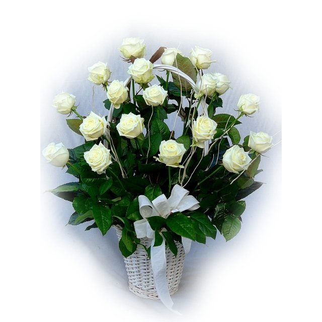 Kosz białych róż - Kwiaciarnia KWIATOSTACJA Kraków