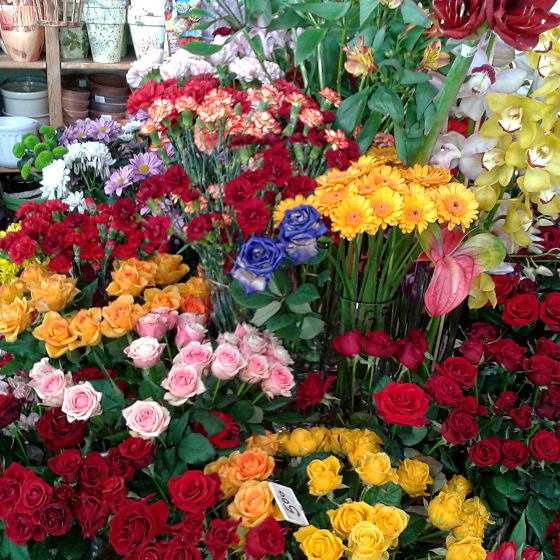 Doręczanie kwiatów Kraków