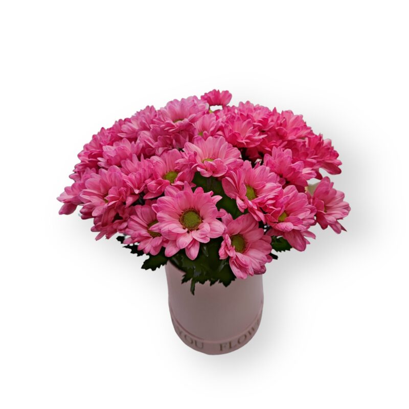 Flower box - kwiaty w pudełku - Kwiaciarnia KWIATOSTACJA Kraków