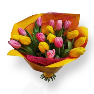 Bukiet tulipanów "Słoneczny poranek" z dostawą w Krakowie - Kwiaciarnia KWIATOSTACJA Kraków